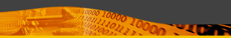 Com�rcio Eletr�nico E-commerce
